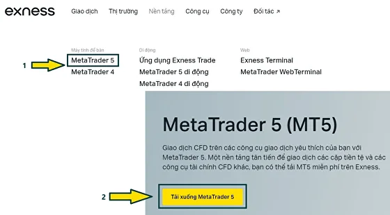 exness download mt5 on pc